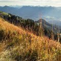 IMG_20191018_095510