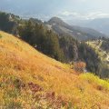 IMG_20191018_095515