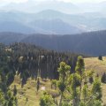 IMG_20191018_105840