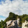 IMG_20191018_105848