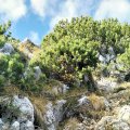 Aufstieg zum 2. Achselkopf