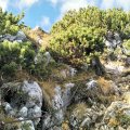 IMG_20191018_111325