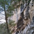 2019_11_19_14_14 (2)