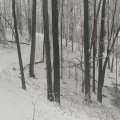 2021_01_23_14_58