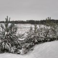 2021_02_07_16_08