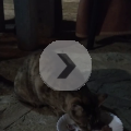 VID_20210511_215815410