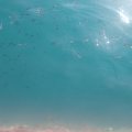 2021_09_20_15_39-004