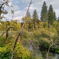 2021_09_27_12_09-001