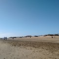 20211229_1053-01