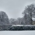 20220122_1322
