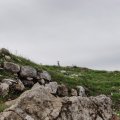 20220308_0936