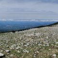 20220913_1145-01 (2)