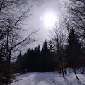 20230305_1205