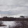 20230305_1208-02