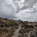 20230507_1217-01