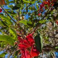 20230908_1520 (2)