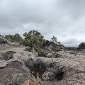 20230918_1103 (2)