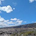 20230918_1344-01 (2)