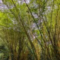 20230919_1215 (2)