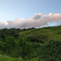 20230921_1816 (2)