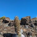 20230922_1446 (2)