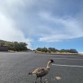 20230922_1611-01 (2)