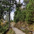 IMG_20231020_111138