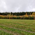 IMG_20231028_102100