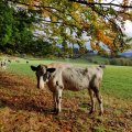 IMG_20231028_102620