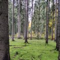 IMG_20231028_103210