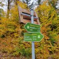 IMG_20231028_104739