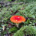 IMG_20231028_105624
