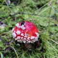 IMG_20231028_105747