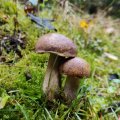 IMG_20231028_110204