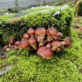 IMG_20231028_111214