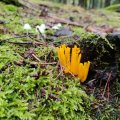 IMG_20231028_111504