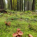 IMG_20231028_111636