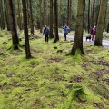 IMG_20231028_111656