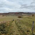 IMG_20231105_122039