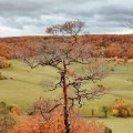 IMG_20231105_130412