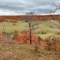 IMG_20231105_130420