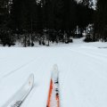 IMG_20231228_120414