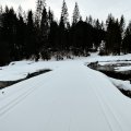 IMG_20231228_120424