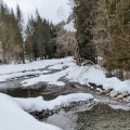 IMG_20231228_120447