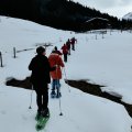 IMG_20231229_110454