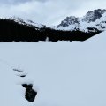 IMG_20231229_122616