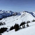 IMG_20231230_113345