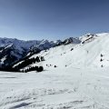 IMG_20231230_114225
