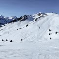 IMG_20231230_114236