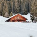 IMG_20231231_124008
